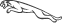 Neumáticos jaguar